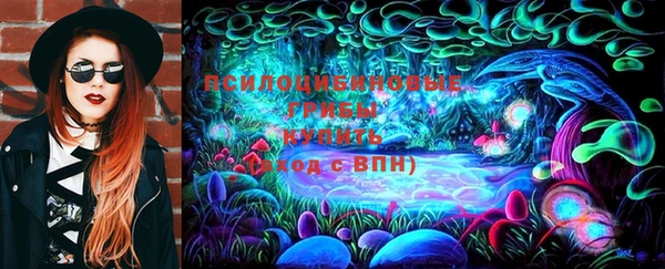 a pvp Аркадак