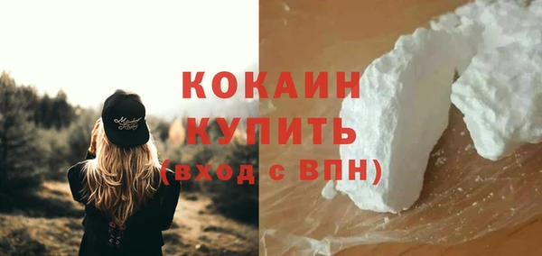 гидра Арсеньев