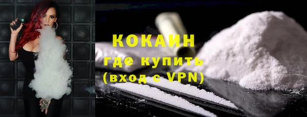 гидра Арсеньев