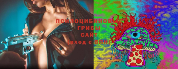 a pvp Аркадак